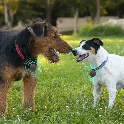 Compact GPS Tracker - Real-Time Locator for  Pets, Children, & Valuables - Durable, Water Resistant, Long Battery Life, Instant Alerts